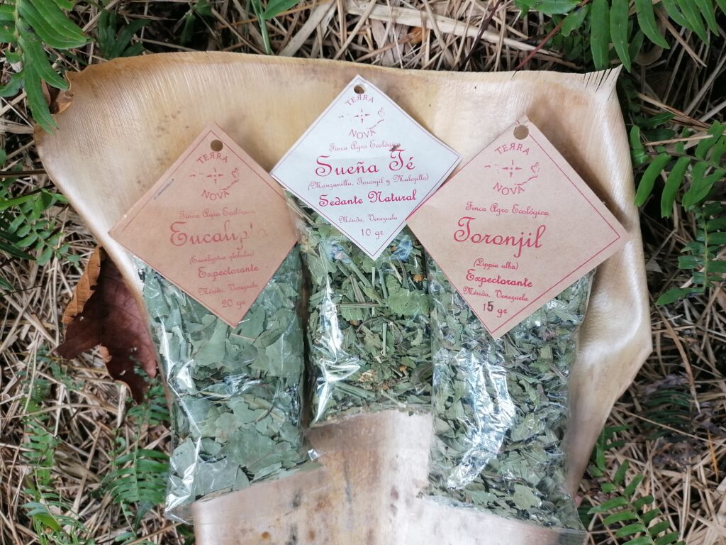 3 hierbas